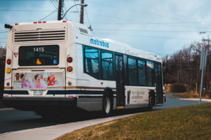 Who Should Be Liable For Your Bus Accident Injuries